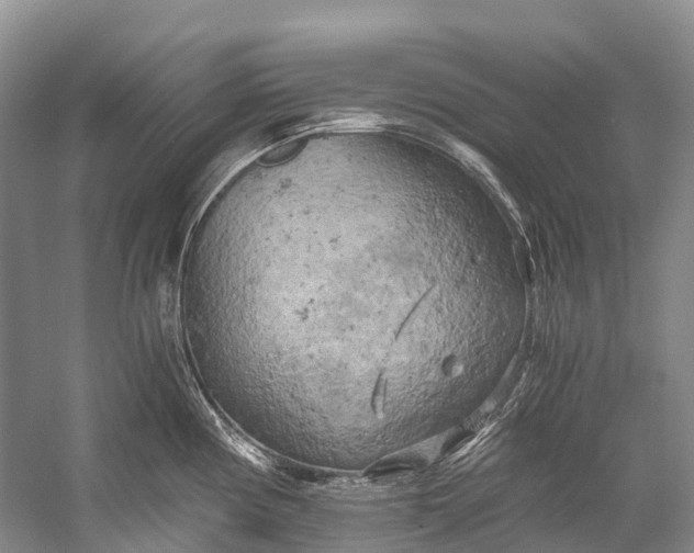 X0000058801194200510171338