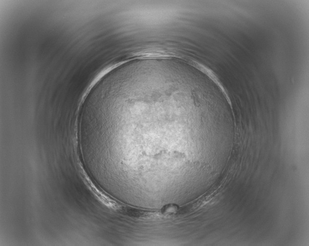 X0000058801195200510171338