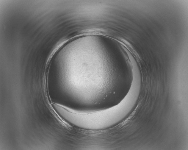 X0000058801196200510171338