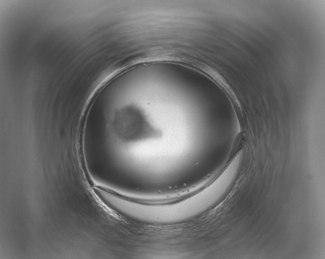 X0000058801197200510171338