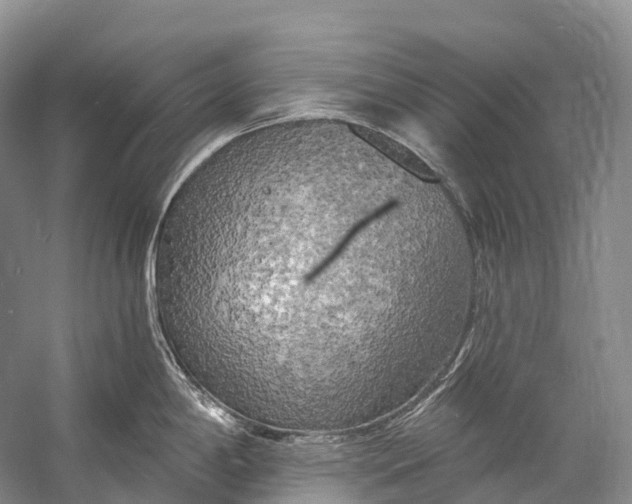 X0000058801198200510171338