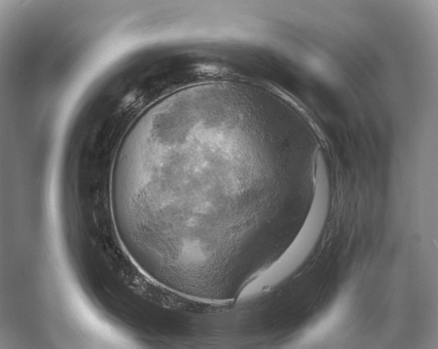 X0000058801199200510171338