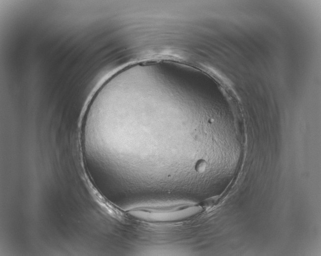 X0000058801200200510171338