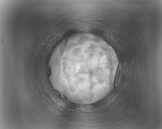 X0000058801201200510171337