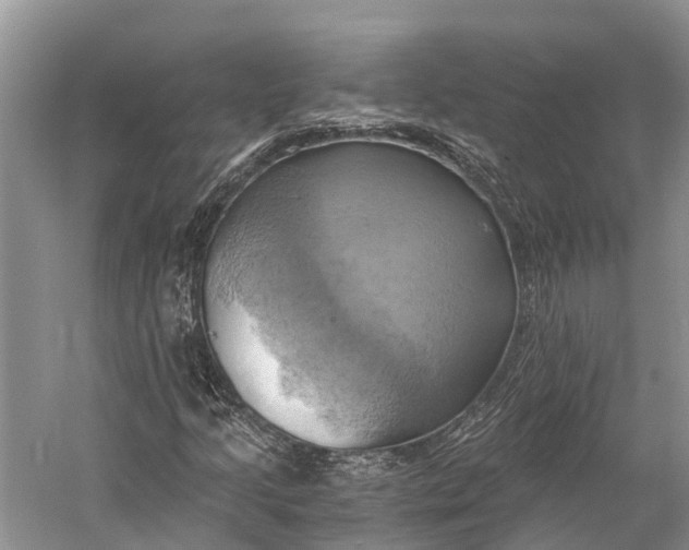 X0000058801205200510171338