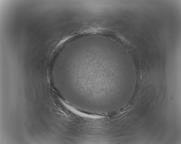 X0000058801206200510171338