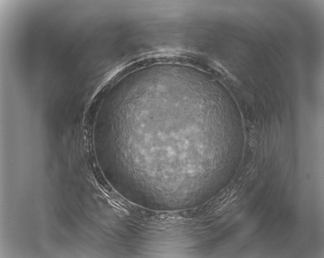 X0000058801208200510171338