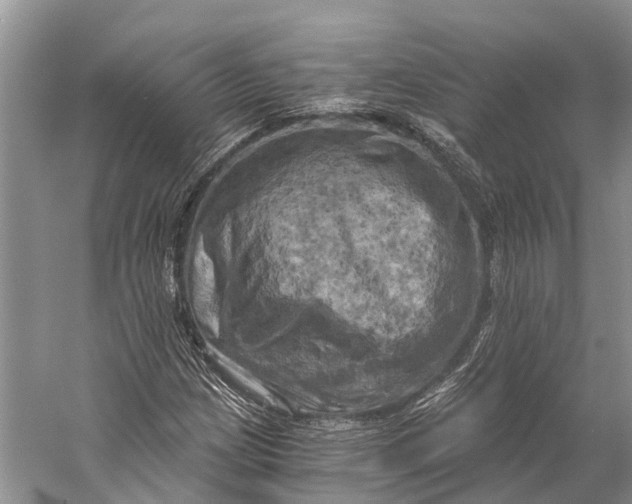 X0000058801209200510171338