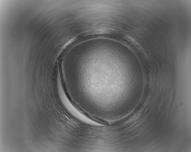 X0000058801210200510171338