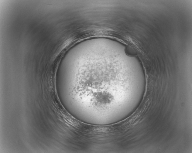 X0000058801211200510171338