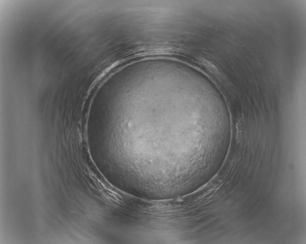 X0000058801212200510171338