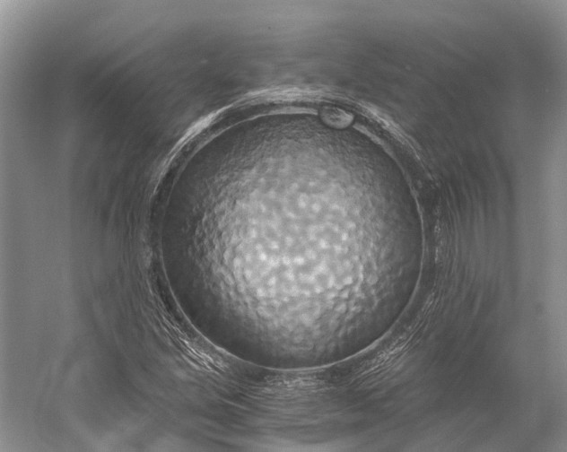 X0000058801213200510171338