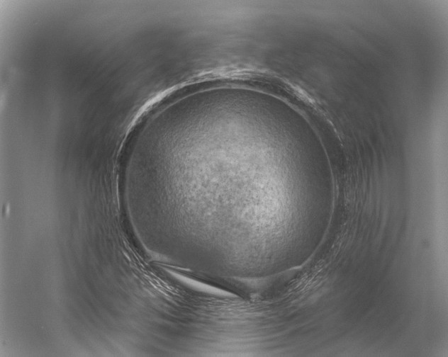 X0000058801214200510171338