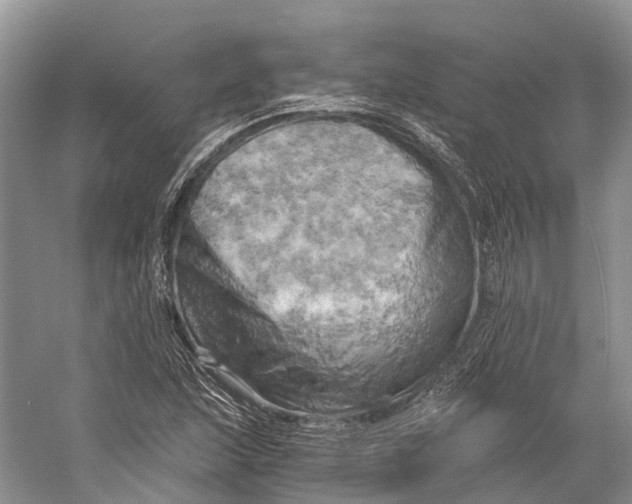 X0000058801215200510171338