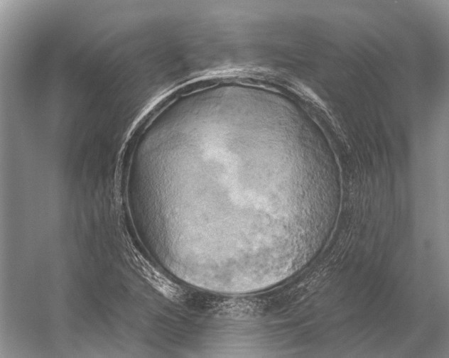 X0000058801216200510171338