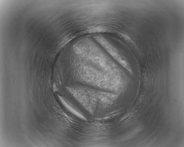 X0000058801217200510171338