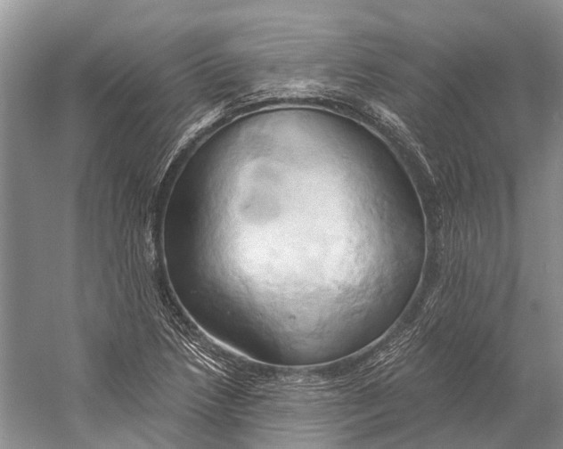 X0000058801218200510171338