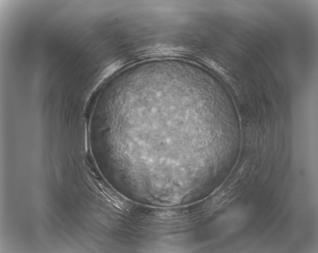 X0000058801219200510171338