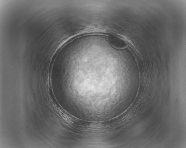 X0000058801220200510171338