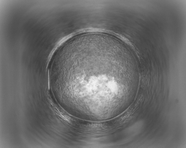 X0000058801223200510171338