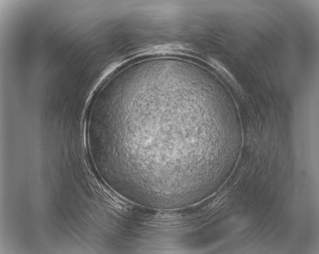 X0000058801224200510171338