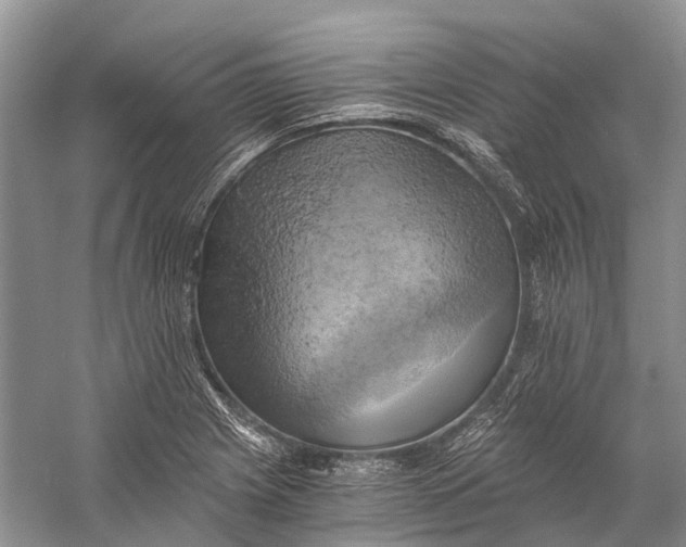 X0000058801225200510171338