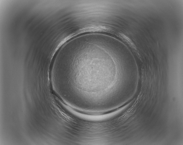 X0000058801226200510171338