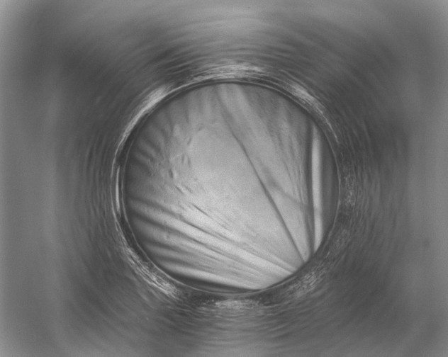 X0000058801227200510171338