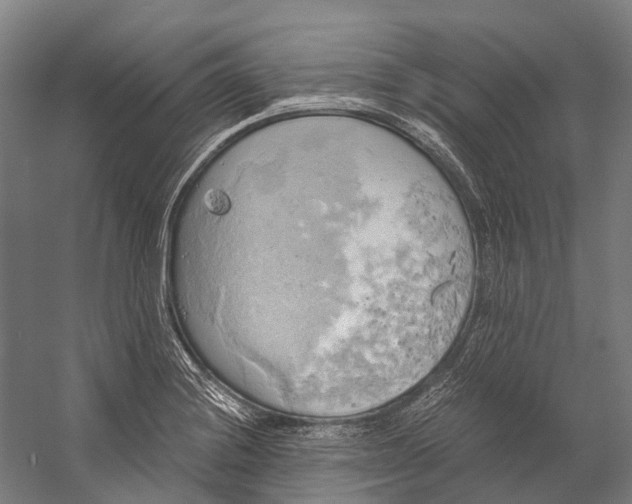 X0000058801228200510171338