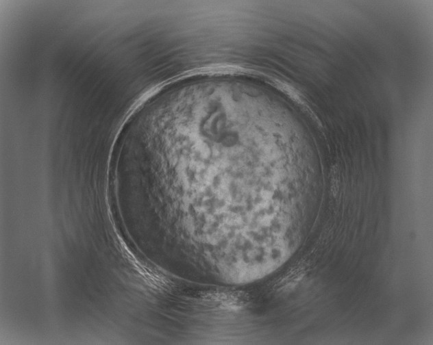 X0000058801229200510171338