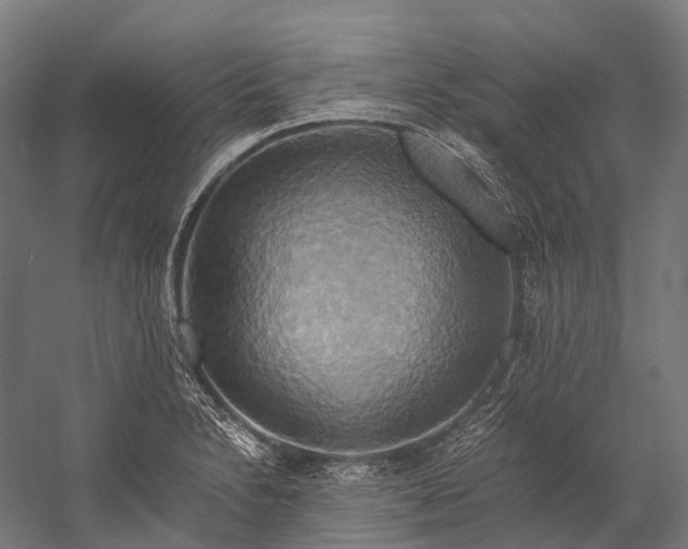 X0000058801230200510171338