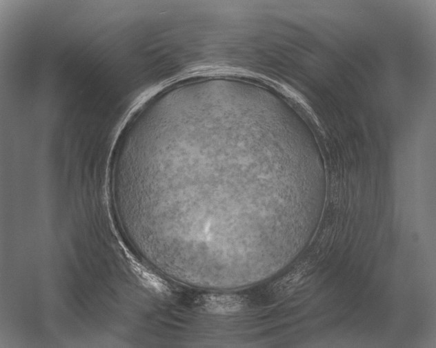 X0000058801231200510171338