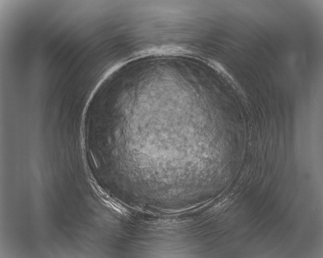 X0000058801232200510171338