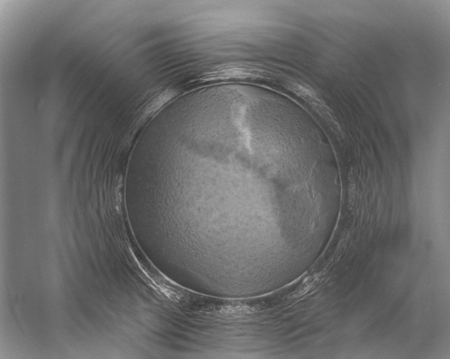 X0000058801233200510171338