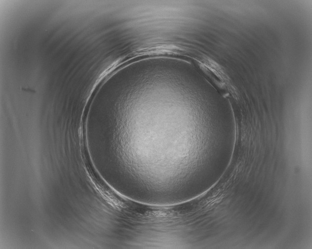 X0000058801234200510171338