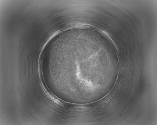 X0000058801235200510171338