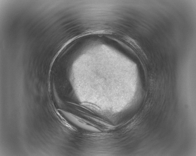 X0000058801236200510171338