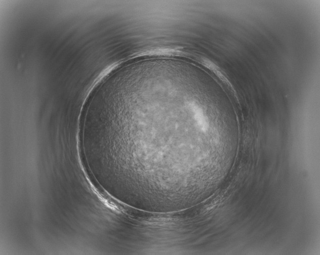 X0000058801237200510171338