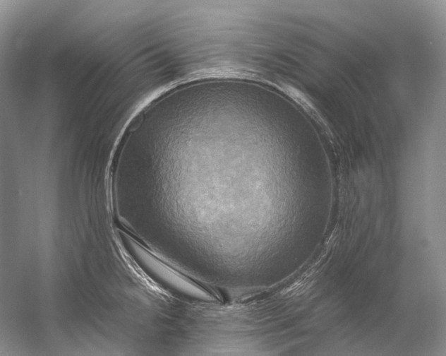 X0000058801238200510171338