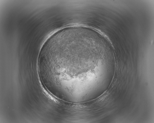 X0000058801239200510171338