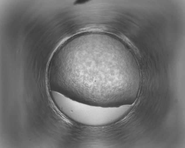 X0000058801240200510171338