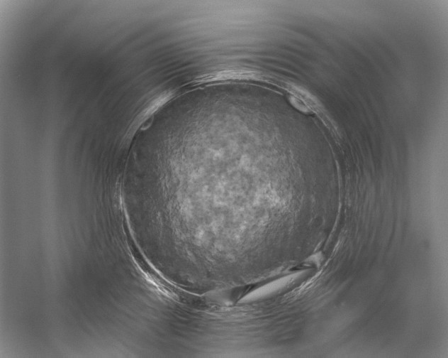 X0000058801241200510171338