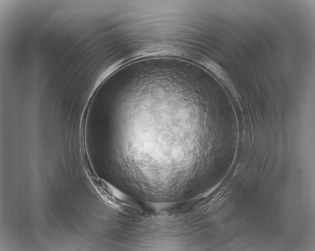 X0000058801242200510171338