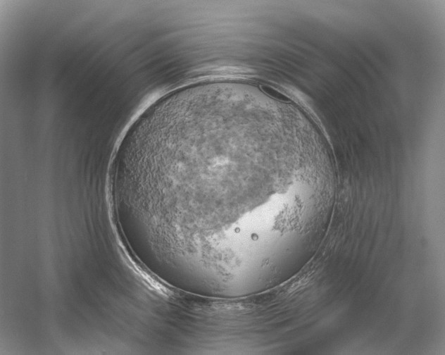 X0000058801243200510171338