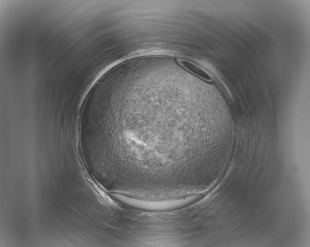 X0000058801244200510171338