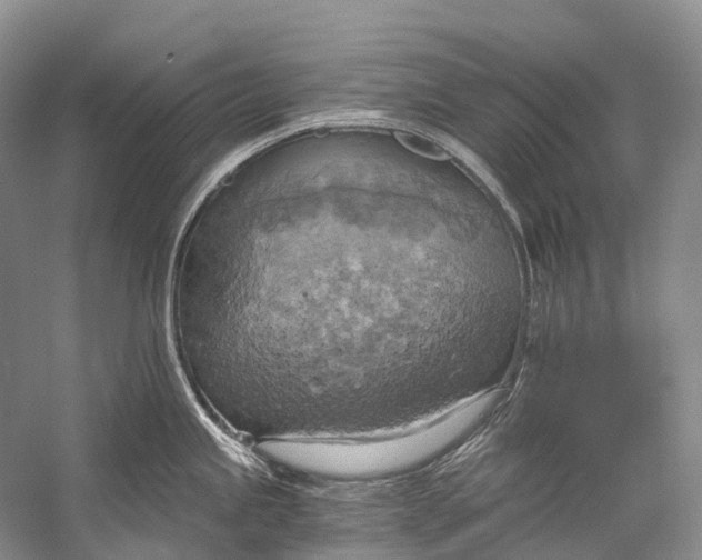 X0000058801245200510171338