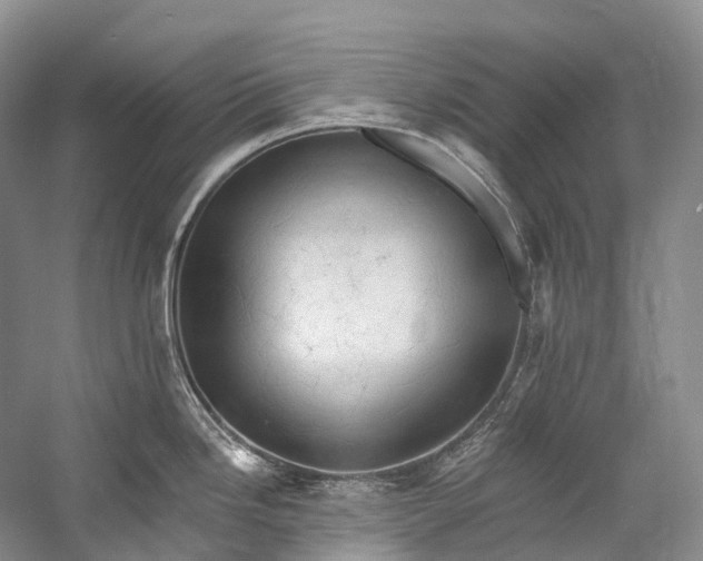 X0000058801246200510171338