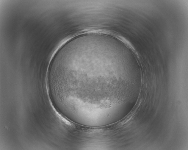 X0000058801247200510171338