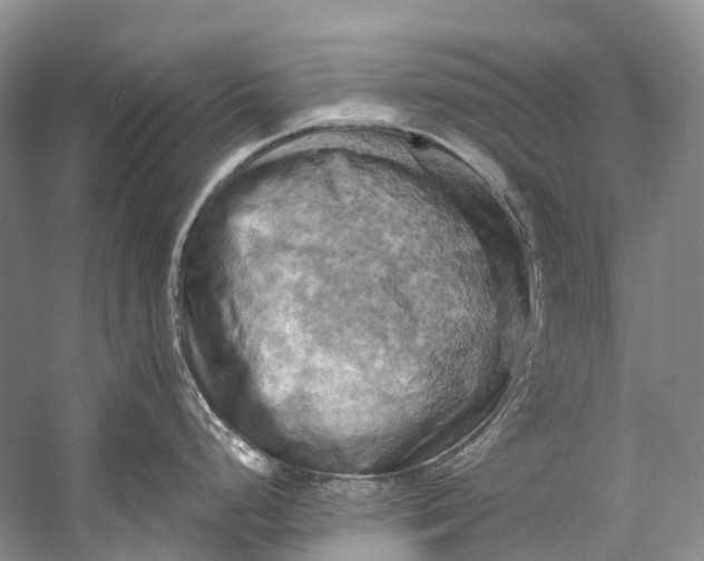 X0000058801248200510171338