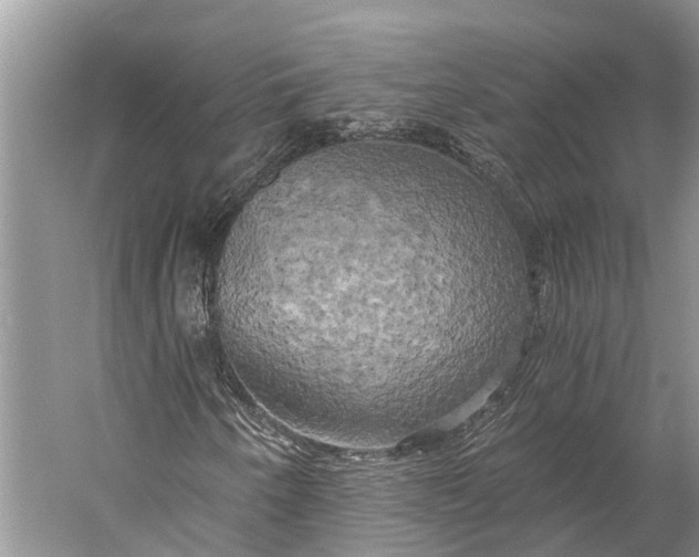 X0000058801250200510171337